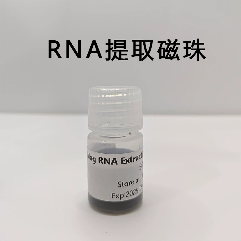 Магнитные микросферы Экстракция ДНК/РНК нуклеиновой кислоты Кремниевые гидроксильные магнитные шарики Продукт PCR Очистка Экстракция РНК Очистка 1 мл