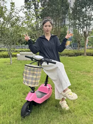 Qatlanan elektrik skuterlər: Foldable Small Dolphin Battery Scooter