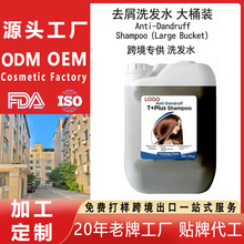 ����ȥмϴ�lˮAnti Dandruff Shampoo�羳�������R�dOEM���Q���S