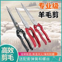 �ք���ë������ë����ţë�R���Ì��﹦�܏���Ƥ��������ë����