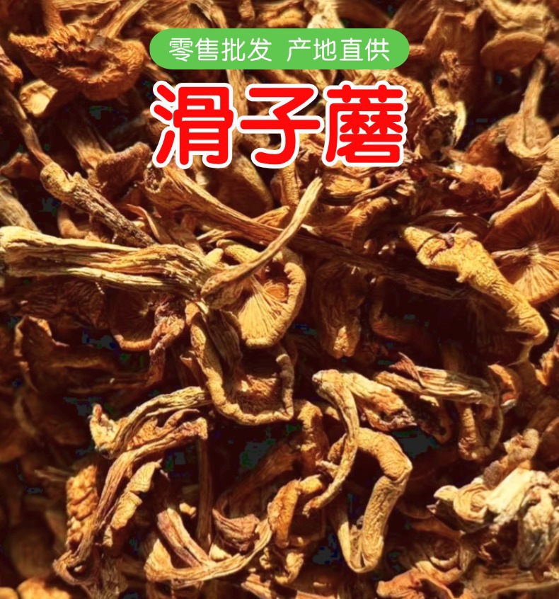 Dried Northeast Yellow Mushroom Hua Zi Gu Dried Mushroom for Chicken Stew 500g overview