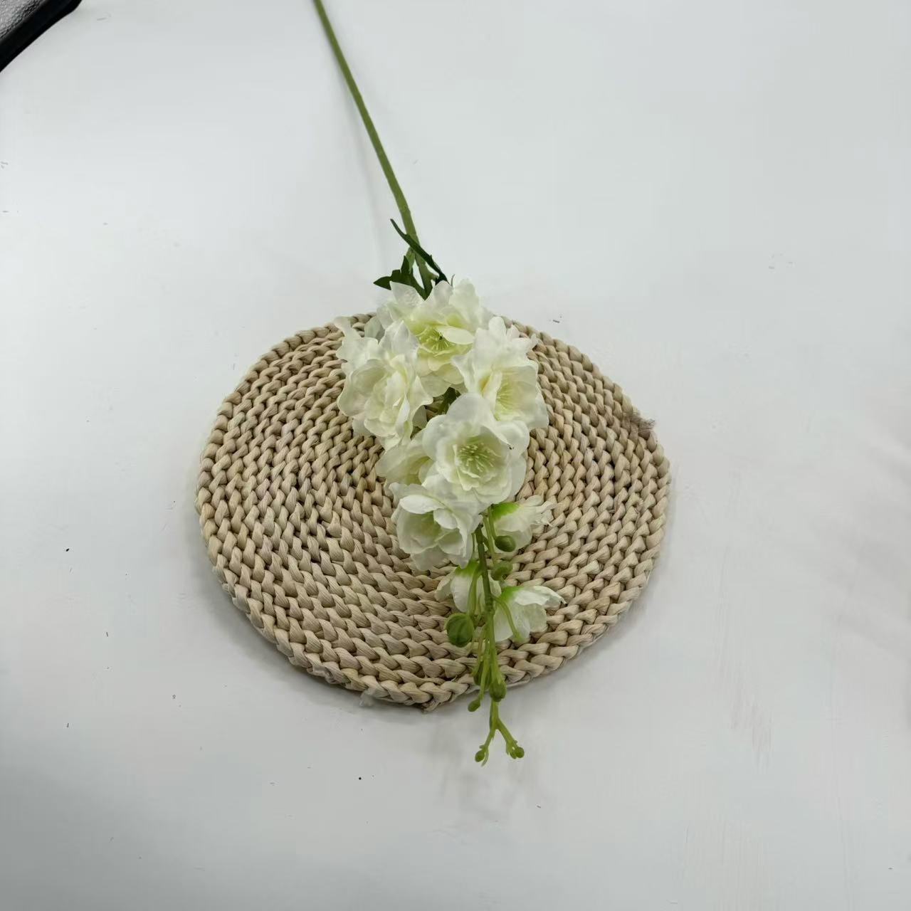 하얀색