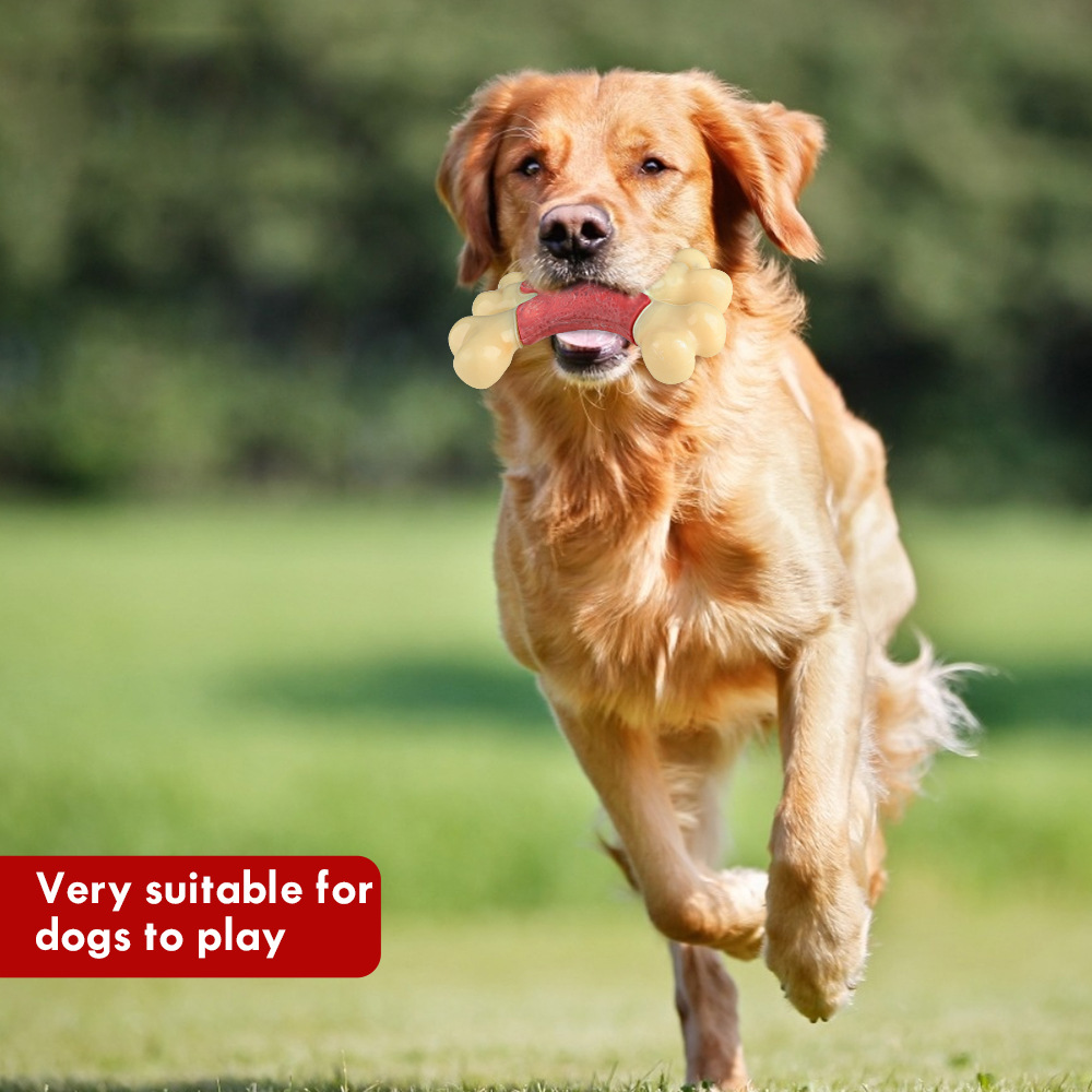 亚马逊宠物用品磨牙狗咬胶玩具咀嚼双骨头培根味耐咬狗狗玩具批发