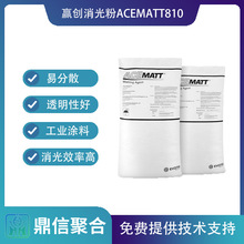 赢创德固赛消光粉ACEMATT810 透明度好水性涂料油墨哑粉消光剂