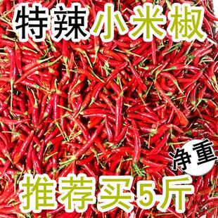 С������5���r�ҬF�l�����콷�V�|ָ�콷��Ƥ�t����10���l