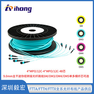 4*Mpo/12C-4*Mpo/12C-48 Core 9.0mm Trunk Fiber Optic Patch Cord Sm/Om3 High-Speed Transmission