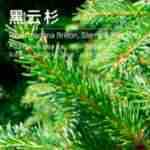 ����ɼ��¶  ����ɼ��ȡ��  ����ɼ���󱥺ʹ�¶ ��ӭ��ѯ�µ�