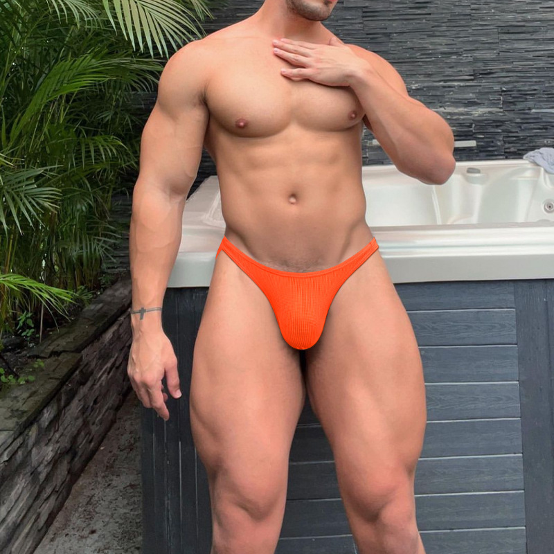 Solid Color Nylon Fine Mesh Men's Bs839 Pants Sexy High-Cut Low-Waist Bikini Briefs Quick-Drying Breathable Underpants