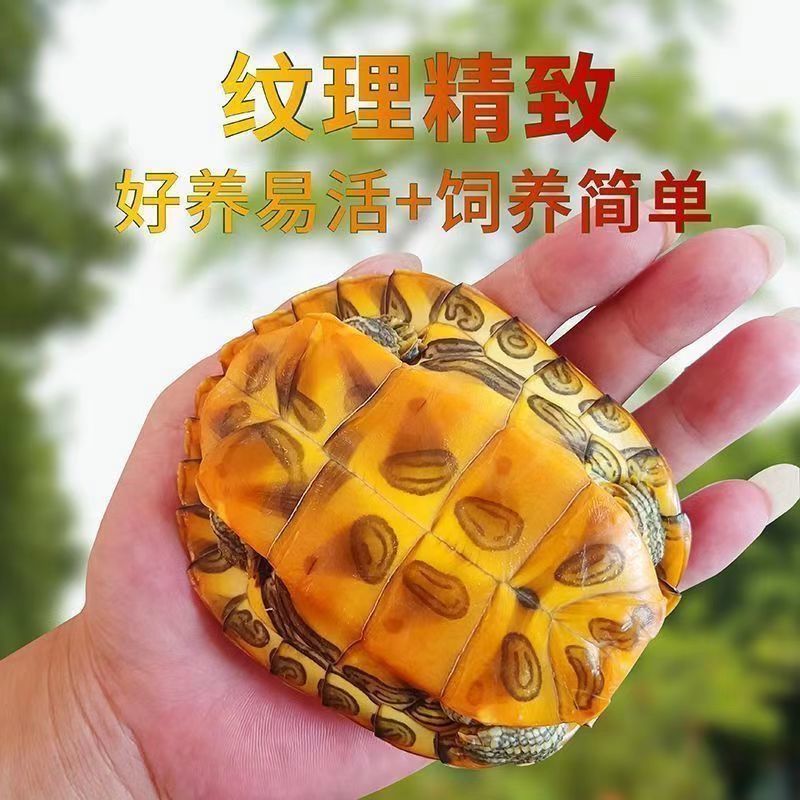 b8323d2e-d263-4fdb-94c5-121634c4f1e4.jpe