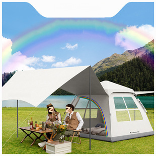 Tent Outdoor Portable Folding Camping Camping Equipment Picnic All-In-One Fully Automatic Thickened Rainproof Wholesale