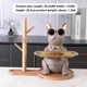 Wangcai 428 Brown + Wooden Glasses