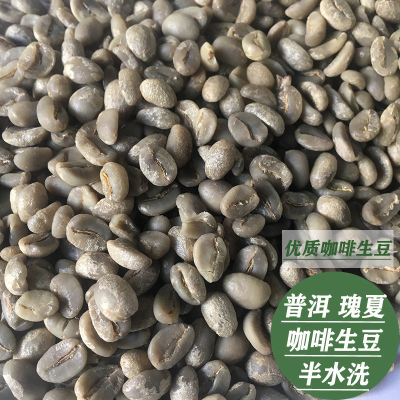Fresh Pu'Er Gesha Coffee Beans, Semi-Washed, Hand-Selected High-Quality Coffee Beans, Large Quantities Available for Wholesale