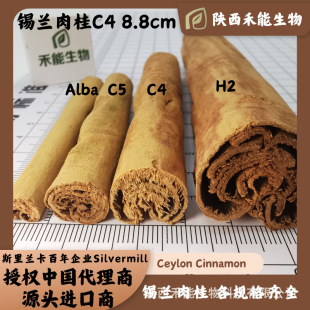 �F؛���l�����a�m����C4 8.8cm˹���m���M����ζ�t����޹����