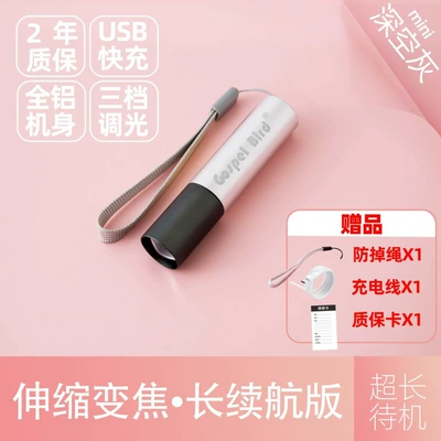 UV fənərlər — strong LED light, ultra-bright, small and - yingxing-upgraded-telescopic-zoom-includes-charging-cable-lanyard-rich-silver-special-offer