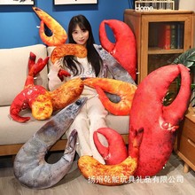 �羳�������rβ������żë�q������ޱ������^3d��փ�ͯ�Y��