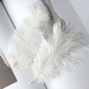 ��ɫ�r�Bë15-20cm��c�[���W�t���b���ë��������diy�����W����