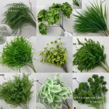 ��c��ˇ�Gɫ���Ę��~ֲ���Pβ�~�ȼ�����Y�����[�ľGֲ����