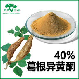 葛根异黄酮40% 葛根提取物保健品原料葛根黄酮粉葛根粉葛根素