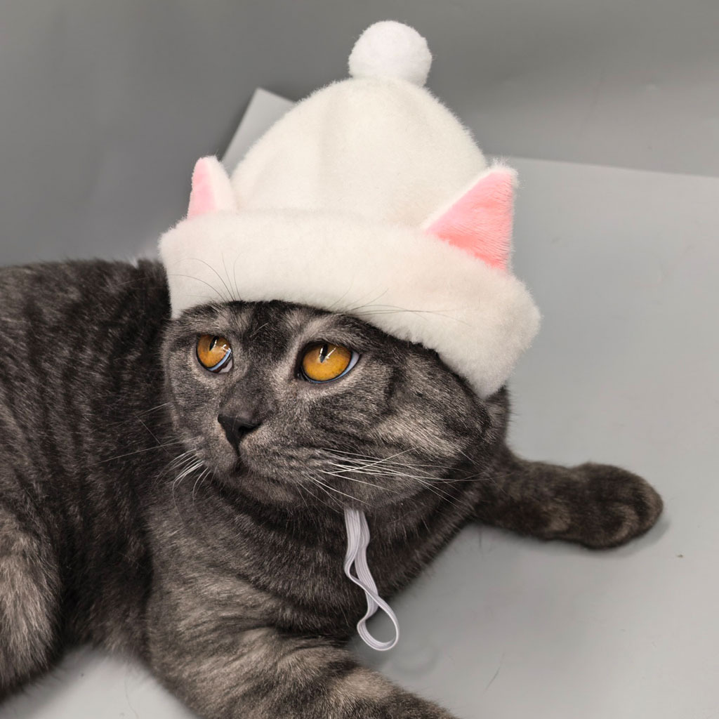 Gorro de pelagem sintética de coelho para gatos e cães_voghion.com