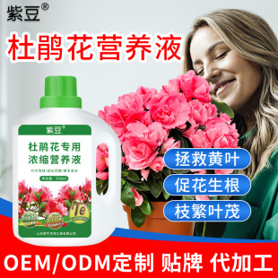 �϶����N�������͝�s�͠I�BҺ�ЙC����ֲ������_���ٻ��F؛�S��