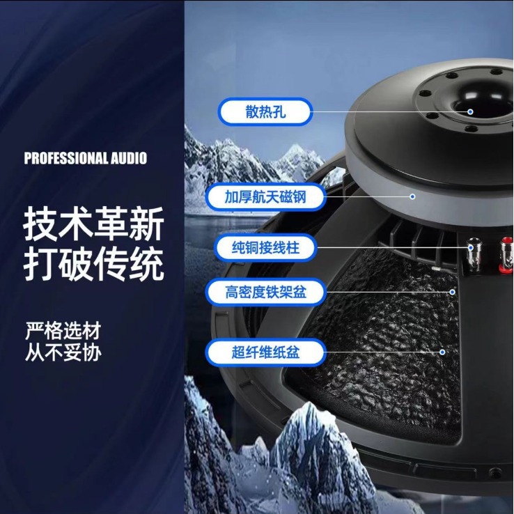 10 pulgadas 12 pulgadas 15 pulgadas altavoces activos de pared acampado de alta potencia de madera sonido activo profesional