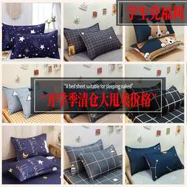 学生宿舍儿童枕头套2025新款水洗棉非纯棉枕套48x74cm枕芯内胆套