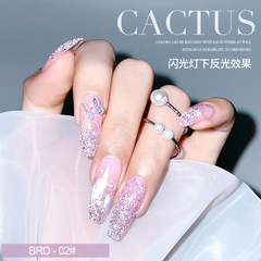 AS Explosive Diamond Nail Polish 2023 New New Upgraded Bottled Colorful Phototherapy Laser Reflective Manicure Set