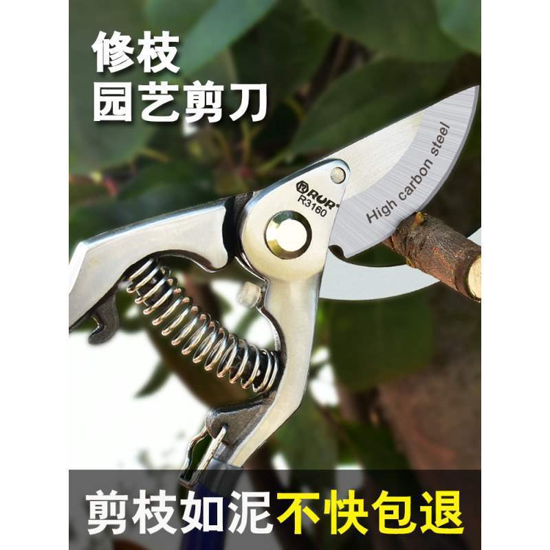 メーカー直売の剪定園芸用はさみ枝の粗い枝を切って園林の剪定をします。|undefined