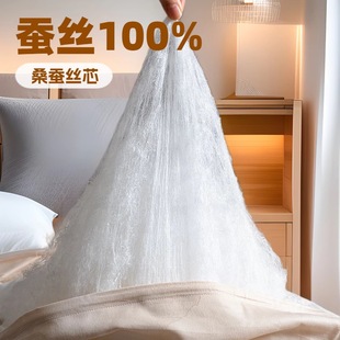 Manufacturer's Silk Quilt Handmade 100% Mulberry Silk Spring, Autumn and Summer Cool Quilt Four-Season Air-Conditioned Quilt Double Thickeneded Winter Quilt
