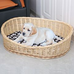 犬の巣の藤は猫の四季を編んで通用します。