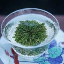 【对白茶舍】黄山绿牡丹绿茶全手工制作高海拔云雾茶历史名茶