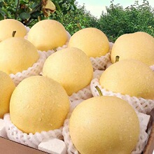 新鲜梨子河北皇冠梨10斤整箱包邮当季水果现摘河北皇冠梨5斤雪梨