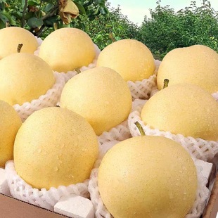 ���r���Ӻӱ��ʹ���10��������]����ˮ���Fժ�ӱ��ʹ���5��ѩ��