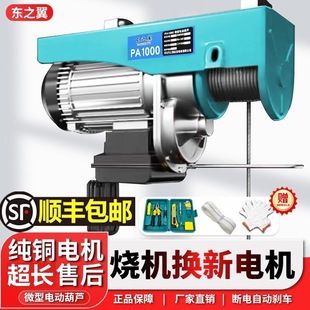 Mini Electric Hoist 220V Household Small Crane 1/0.5 Ton Winch Hoist Winch Lifting Crane