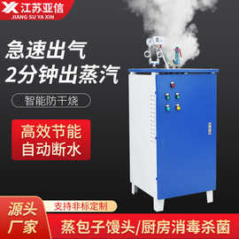 电加热蒸汽发生器蒸汽锅炉食品加工酒店厨房消毒杀菌