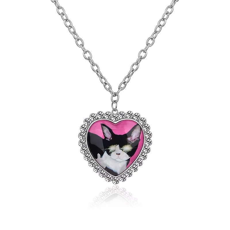 스푸핑 새끼 고양이