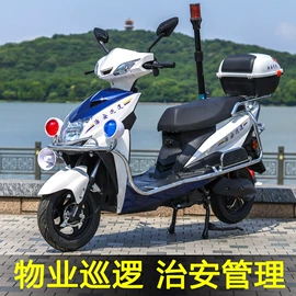电动摩托车;电动三轮车;其他电动车