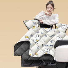 小型电动车挡风被冬季加绒加厚防水电瓶防寒防风罩电车风挡冬天款