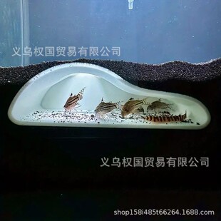 Cave Fish Tank �~���^�~��Ѩ�Ӽ��~���쾰ˮ���^���������^�p�~