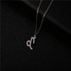 Zodiac signs stainless steel, brand necklace, cards, chain for key bag , wish, Amazon