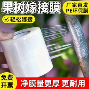 ����޽�Ĥ����Ĥ�p�@Ĥ�����ճĤ�޽�Ĥ�Ә�Ĥ�z�����r�ñ�Ĥ