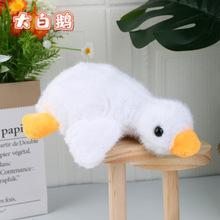 �W�t�ɐ��ȴ���Z���ë�q��߹��п�ͨ�������耳׿۲�������ż