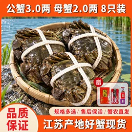 Yihu fresh chinese mitten crab gift box: analysis of fresh cold chain and quality assurance