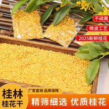 广西特产级金桂花干新货新鲜可食用桂花干泡酒商用桂林金桂花样品