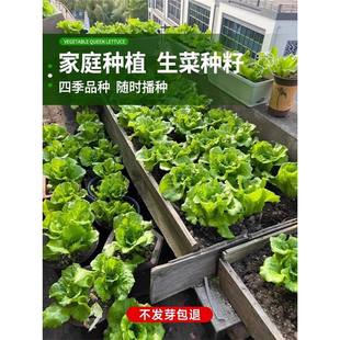 �����������˷N���ļ��̨ͥԺ�׷N�������������߲˷N��������