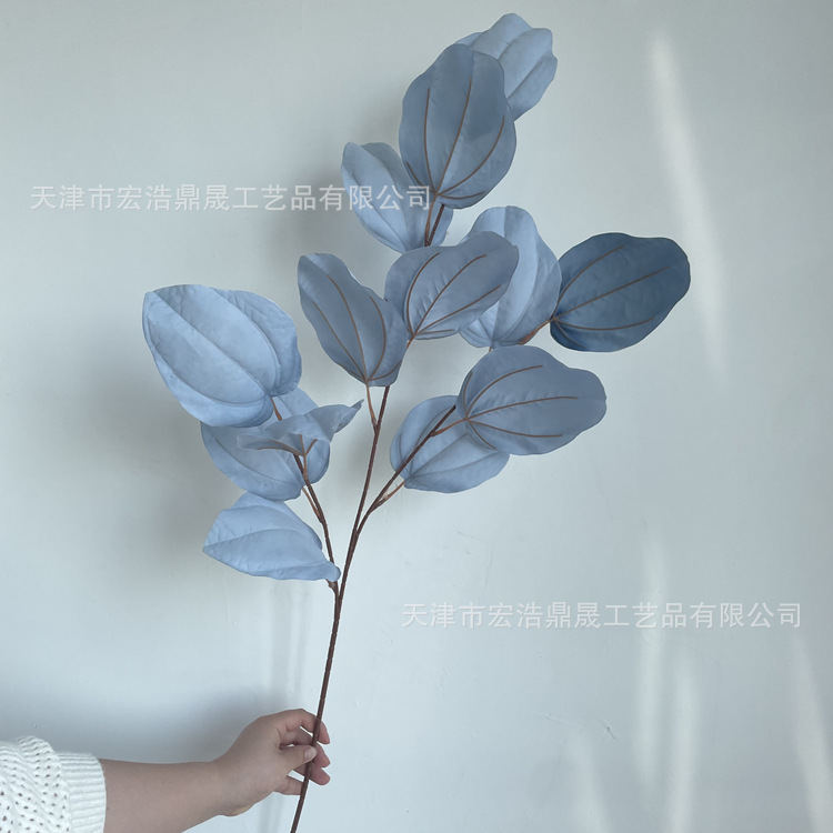 微信图片_202205021521408_副本