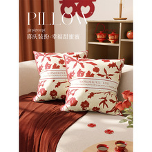 2024新年红色氛围抱枕过年结婚客厅沙发喜庆靠枕龙年装饰套罩靠垫