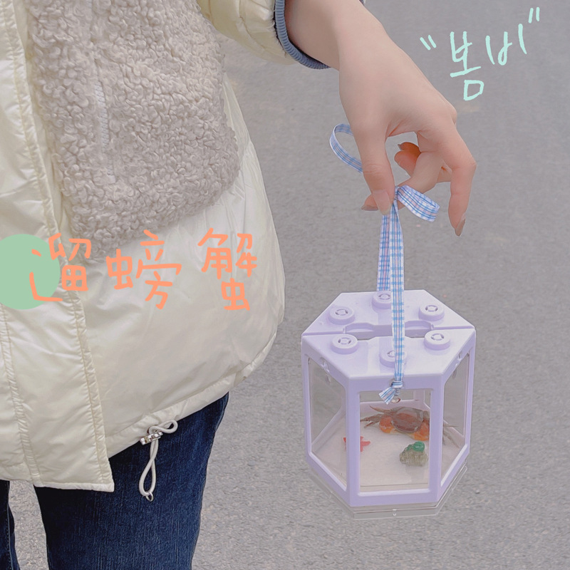 Creative Overlapping Portable Six-Sided Transparent Square Round Landscape Blind Box Lantern Birdcage Rotating Micro Scene (International Version)