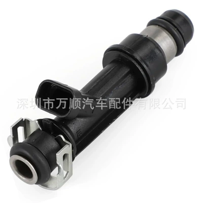 Injector 25319300 suitable Oil pump, nozzle