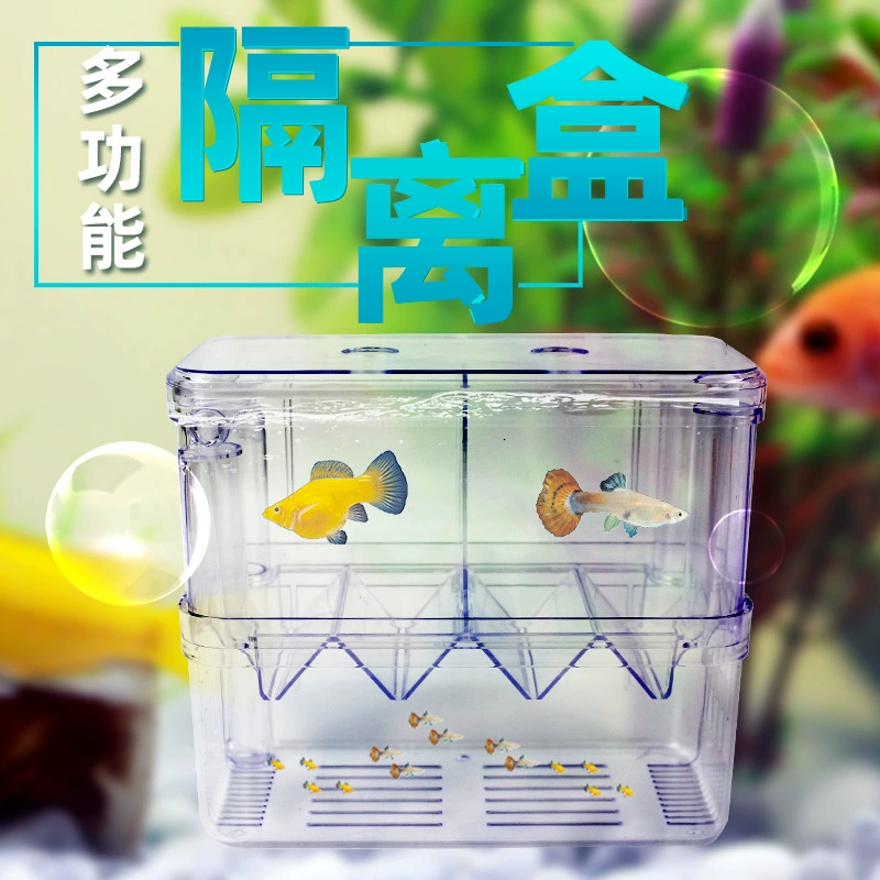 Акриловый изолирующий ящик для аквариума очень большой пневматический инкубатор для нереста коробка для разведения павлинов комната доставки маленьких мальков рыбы